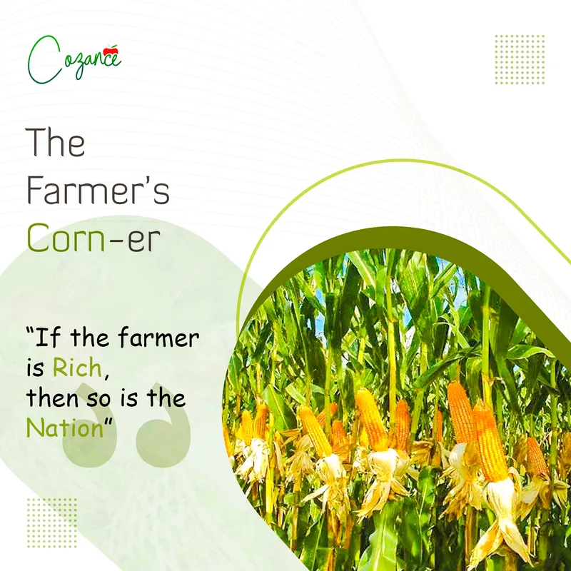 The Farmer's Corn-er: if the farmer is rich, then so is the nation