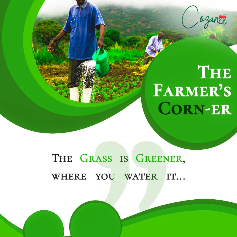 A Cozance social post: The Farmer's Corn-er, the grass is greener where you water it