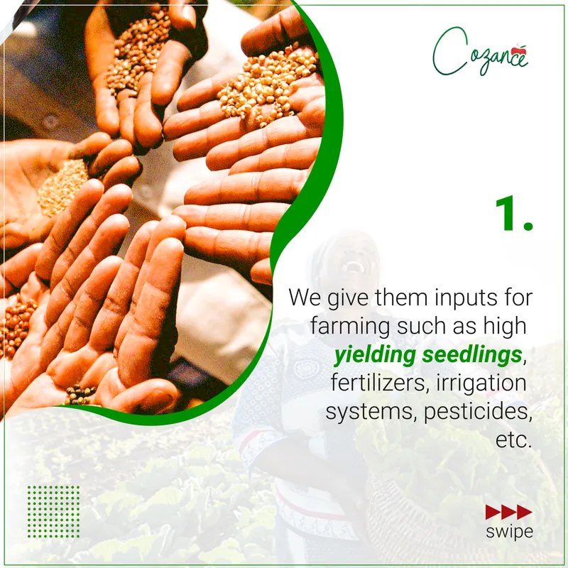 Step 1: farming inputs such as high-yielding seedlings