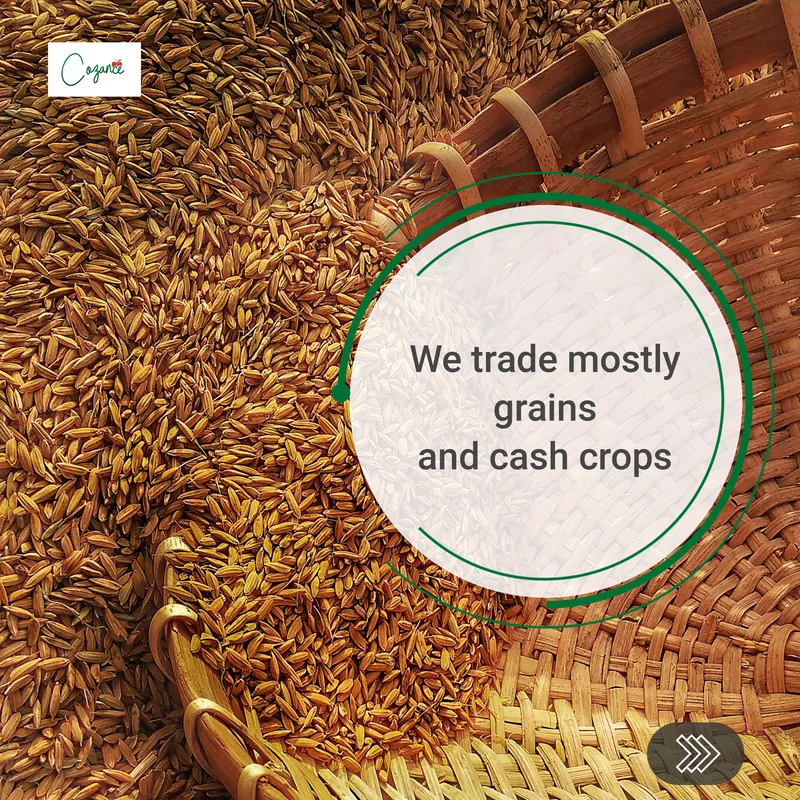 A carousel slide: we trade mostly grains and cash crops